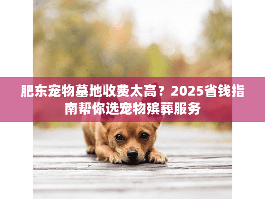 肥东宠物墓地收费太高?2025省钱指南帮你选宠物殡葬服务 肥东宠物墓地收费太高?2025省钱指南帮你选宠物殡葬服务