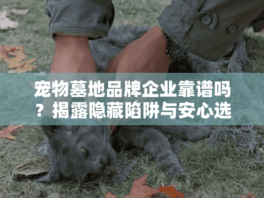 宠物墓地品牌企业靠谱吗？揭露隐藏陷阱与安心选择秘诀