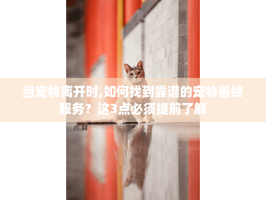当宠物离开时,如何找到靠谱的宠物善终服务?这3点必须提前了解 当宠物离开时,如何找到靠谱的宠物善终服务?这3点必须提前了解