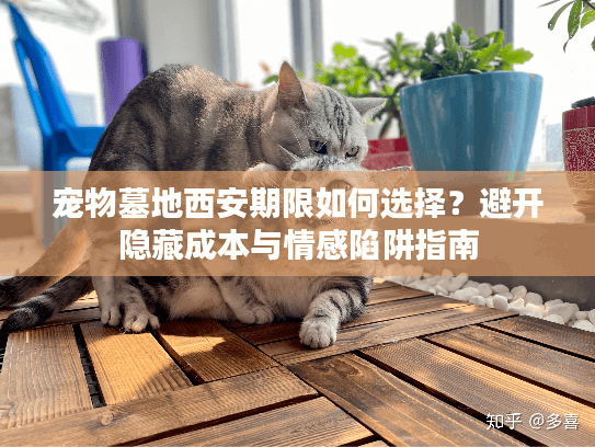 宠物墓地西安期限如何选择？避开隐藏成本与情感陷阱指南