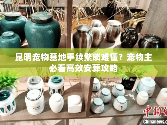 昆明宠物墓地手续繁琐难懂?宠物主必看高效安葬攻略 昆明宠物墓地手续繁琐难懂?宠物主必看高效安葬攻略