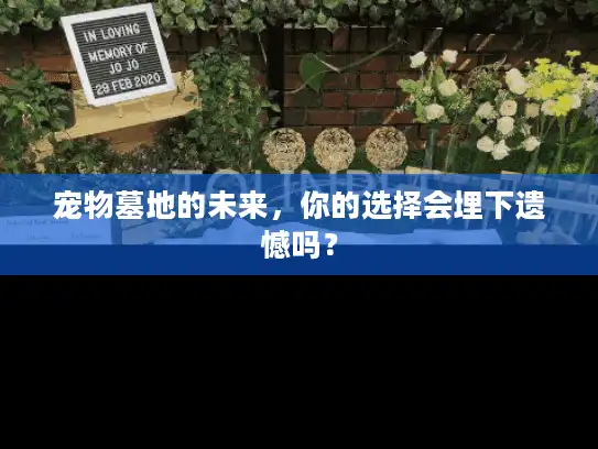 宠物墓地的未来,你的选择会埋下遗憾吗? 宠物墓地的未来,你的选择会埋下遗憾吗?