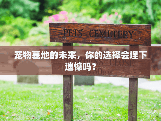 宠物墓地的未来,你的选择会埋下遗憾吗? 宠物墓地的未来,你的选择会埋下遗憾吗?