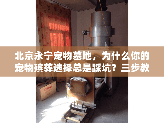 北京永宁宠物墓地，为什么你的宠物殡葬选择总是踩坑？三步教你安心送别