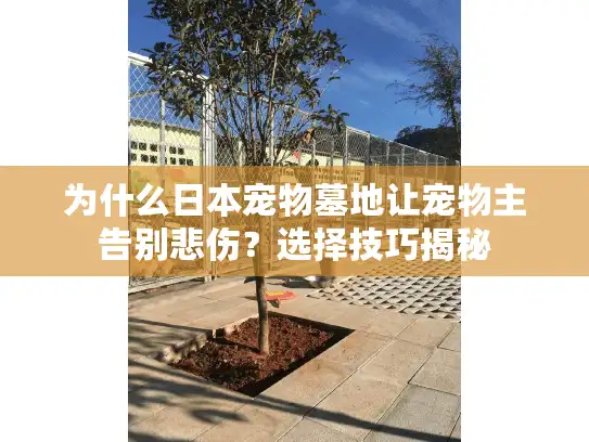 为什么日本宠物墓地让宠物主告别悲伤？选择技巧揭秘