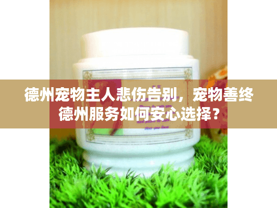 德州宠物主人悲伤告别，宠物善终德州服务如何安心选择？