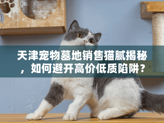 天津宠物墓地销售猫腻揭秘，如何避开高价低质陷阱？