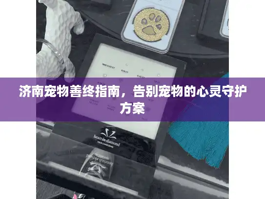 济南宠物善终指南,告别宠物的心灵守护方案 济南宠物善终指南,告别宠物的心灵守护方案