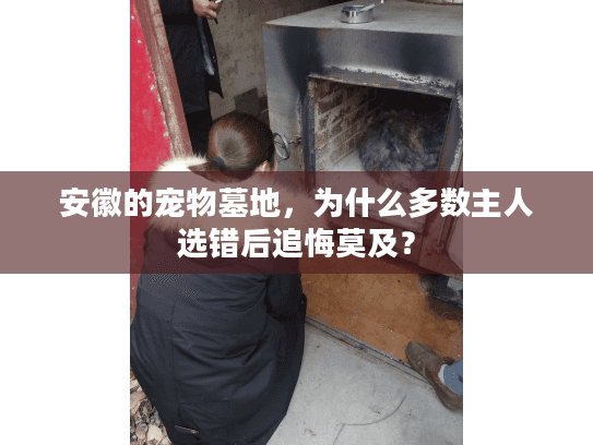 安徽的宠物墓地，为什么多数主人选错后追悔莫及？