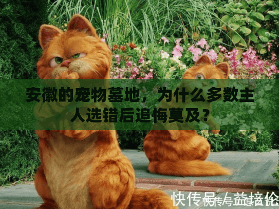 安徽的宠物墓地，为什么多数主人选错后追悔莫及？