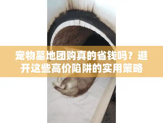 宠物墓地团购真的省钱吗？避开这些高价陷阱的实用策略