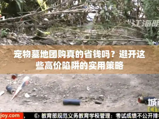 宠物墓地团购真的省钱吗？避开这些高价陷阱的实用策略