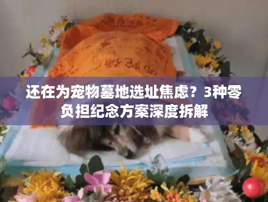 还在为宠物墓地选址焦虑？3种零负担纪念方案深度拆解