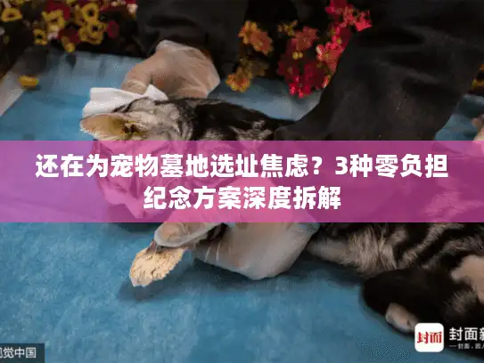 还在为宠物墓地选址焦虑？3种零负担纪念方案深度拆解