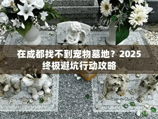 在成都找不到宠物墓地?2025终极避坑行动攻略 在成都找不到宠物墓地?2025终极避坑行动攻略