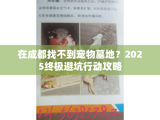 在成都找不到宠物墓地?2025终极避坑行动攻略 在成都找不到宠物墓地?2025终极避坑行动攻略
