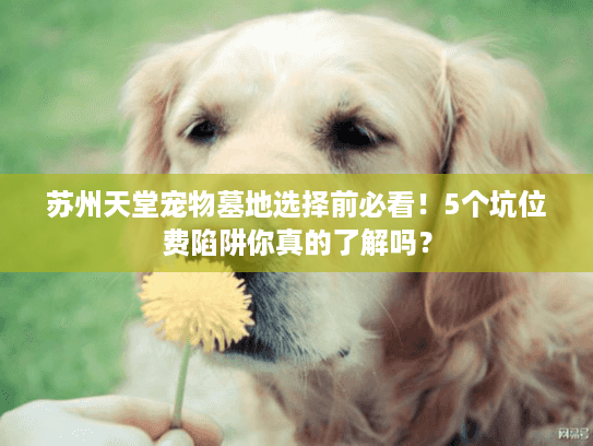 苏州天堂宠物墓地选择前必看！5个坑位费陷阱你真的了解吗？