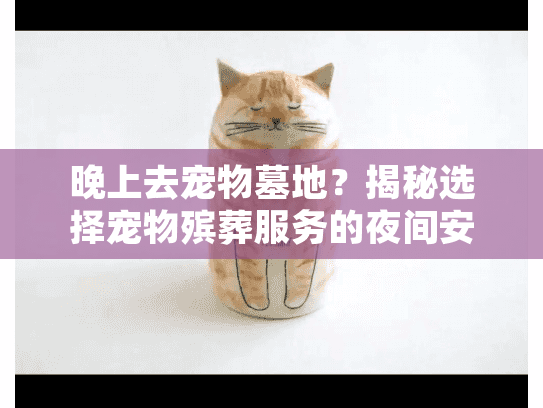晚上去宠物墓地？揭秘选择宠物殡葬服务的夜间安全独门技巧