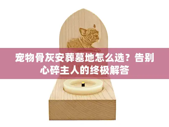 宠物骨灰安葬墓地怎么选？告别心碎主人的终极解答