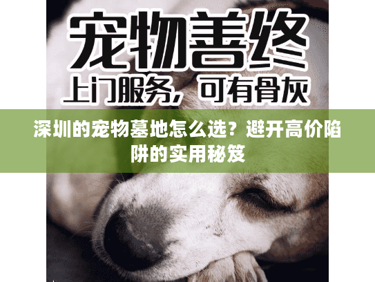 深圳的宠物墓地怎么选？避开高价陷阱的实用秘笈