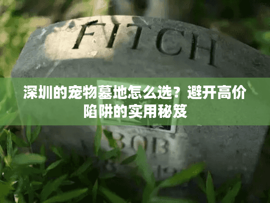 深圳的宠物墓地怎么选？避开高价陷阱的实用秘笈