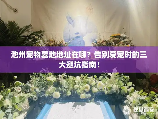 池州宠物墓地地址在哪？告别爱宠时的三大避坑指南！