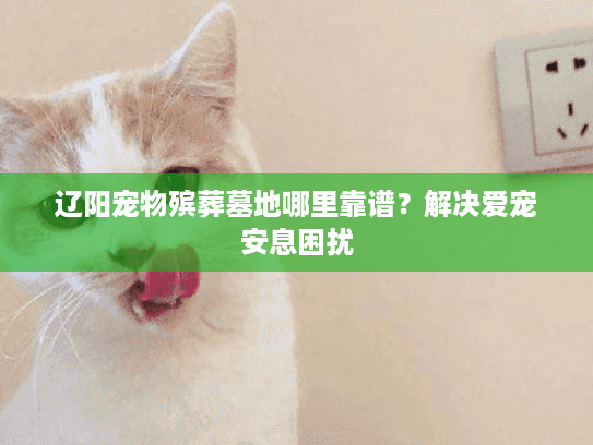 辽阳宠物殡葬墓地哪里靠谱？解决爱宠安息困扰