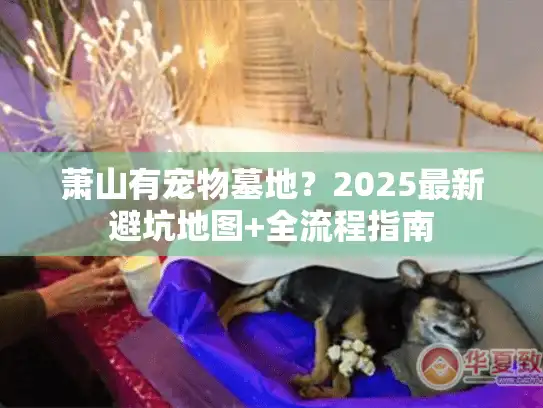 萧山有宠物墓地？2025最新避坑地图+全流程指南