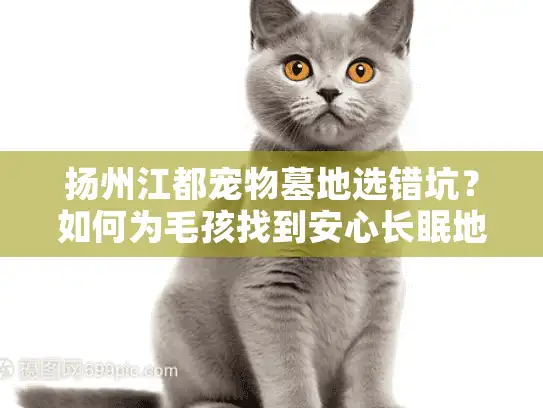 扬州江都宠物墓地选错坑？如何为毛孩找到安心长眠地