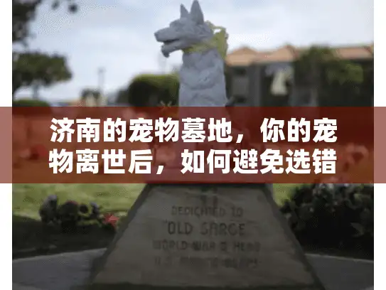 济南的宠物墓地，你的宠物离世后，如何避免选错安葬地？