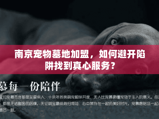 南京宠物墓地加盟,如何避开陷阱找到真心服务? 南京宠物墓地加盟,如何避开陷阱找到真心服务?