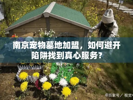 南京宠物墓地加盟,如何避开陷阱找到真心服务? 南京宠物墓地加盟,如何避开陷阱找到真心服务?