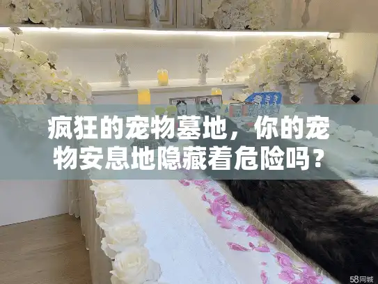 疯狂的宠物墓地，你的宠物安息地隐藏着危险吗？