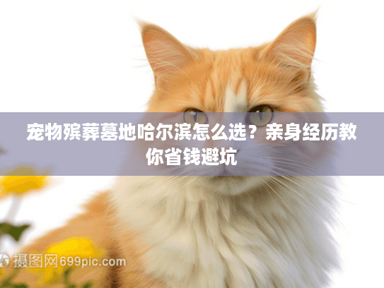 宠物殡葬墓地哈尔滨怎么选?亲身经历教你省钱避坑 宠物殡葬墓地哈尔滨怎么选?亲身经历教你省钱避坑