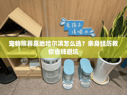 宠物殡葬墓地哈尔滨怎么选?亲身经历教你省钱避坑 宠物殡葬墓地哈尔滨怎么选?亲身经历教你省钱避坑