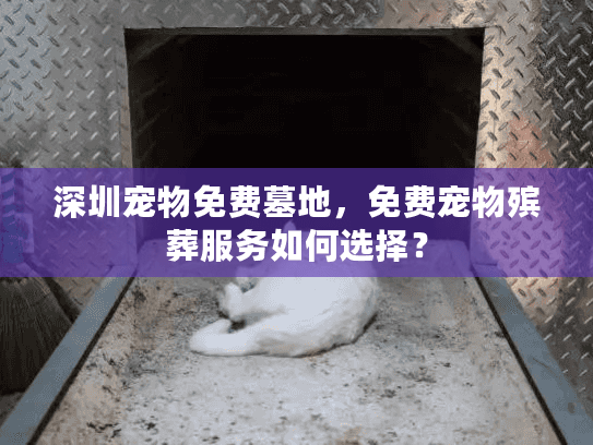 深圳宠物免费墓地，免费宠物殡葬服务如何选择？