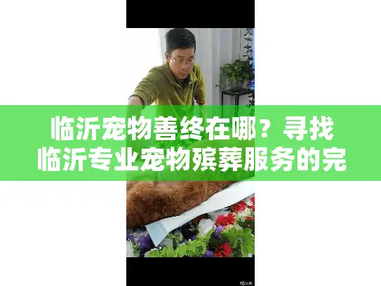 临沂宠物善终在哪?寻找临沂专业宠物殡葬服务的完整指南 临沂宠物善终在哪?寻找临沂专业宠物殡葬服务的完整指南