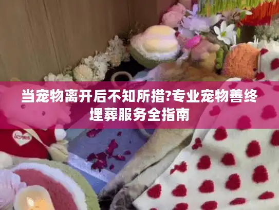 当宠物离开后不知所措?专业宠物善终埋葬服务全指南