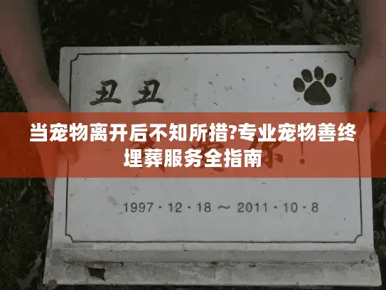 当宠物离开后不知所措?专业宠物善终埋葬服务全指南