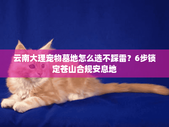 云南大理宠物墓地怎么选不踩雷?6步锁定苍山合规安息地 云南大理宠物墓地怎么选不踩雷?6步锁定苍山合规安息地