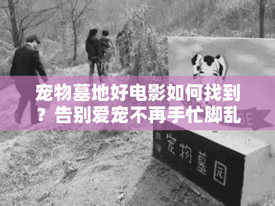 宠物墓地好电影如何找到？告别爱宠不再手忙脚乱