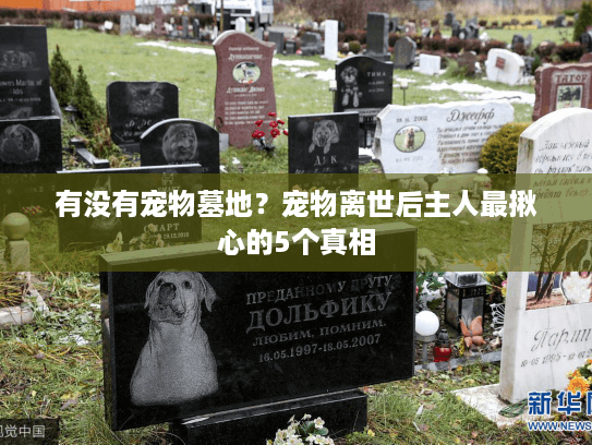 有没有宠物墓地？宠物离世后主人最揪心的5个真相