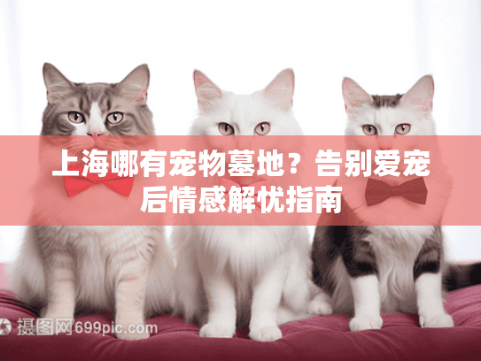 上海哪有宠物墓地?告别爱宠后情感解忧指南 上海哪有宠物墓地?告别爱宠后情感解忧指南