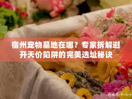 宿州宠物墓地在哪？专家拆解避开天价陷阱的完美选址秘诀