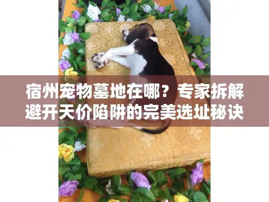 宿州宠物墓地在哪？专家拆解避开天价陷阱的完美选址秘诀