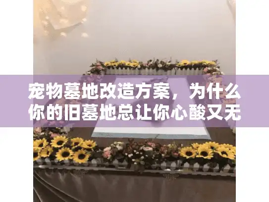 宠物墓地改造方案，为什么你的旧墓地总让你心酸又无奈？