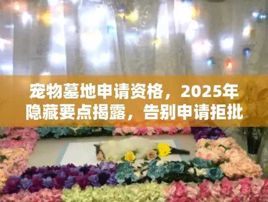 宠物墓地申请资格，2025年隐藏要点揭露，告别申请拒批噩梦
