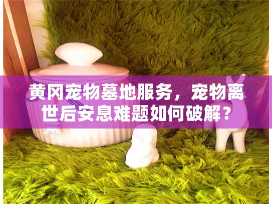 黄冈宠物墓地服务,宠物离世后安息难题如何破解? 黄冈宠物墓地服务,宠物离世后安息难题如何破解?