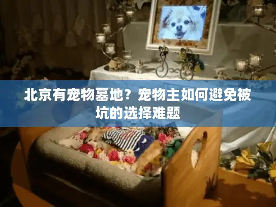 北京有宠物墓地？宠物主如何避免被坑的选择难题