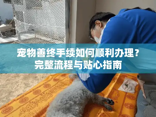 宠物善终手续如何顺利办理？完整流程与贴心指南